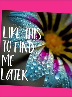 PLEASE LIKE THIS TO FIND ME LATER